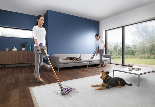Dos mujeres aspirando una habitación. Una aspira la alfombra, la otra el sofá. Hay dos perros presentes.